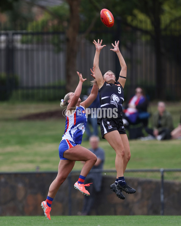 Coates League Girls 2025 Round 01 - Northern Knights v Oakleigh Chargers - A-58412849