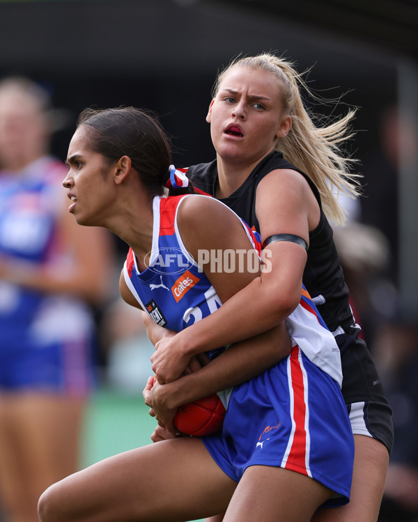 Coates League Girls 2025 Round 01 - Northern Knights v Oakleigh Chargers - A-58412859