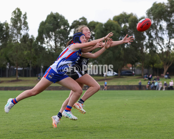 Coates League Girls 2025 Round 01 - Northern Knights v Oakleigh Chargers - A-58415166