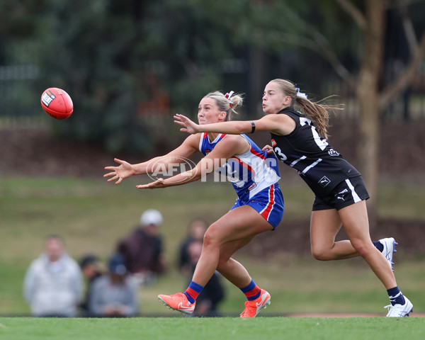 Coates League Girls 2025 Round 01 - Northern Knights v Oakleigh Chargers - A-58417695