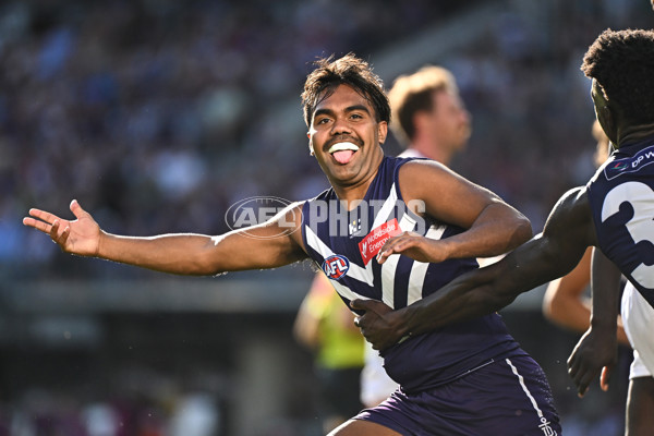 AFL 2025 Round 04 - Fremantle v Western Bulldogs - A-58419619