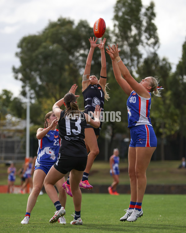 Coates League Girls 2025 Round 01 - Northern Knights v Oakleigh Chargers - A-58421965