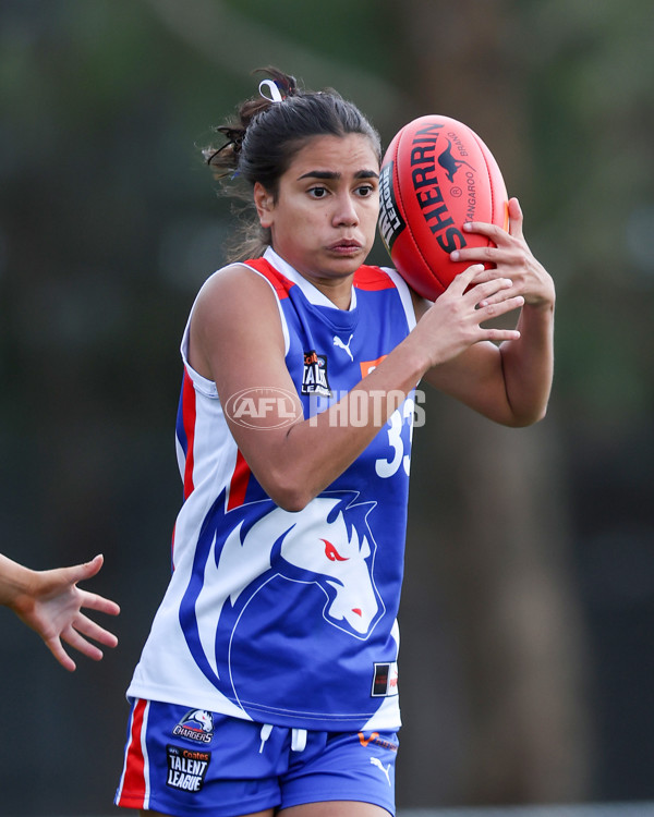 Coates League Girls 2025 Round 01 - Northern Knights v Oakleigh Chargers - A-58421973