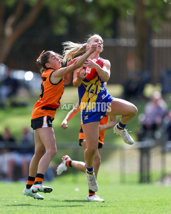Coates League Girls 2025 Round 01 - Calder Cannons v Northern Knights - A-58429347