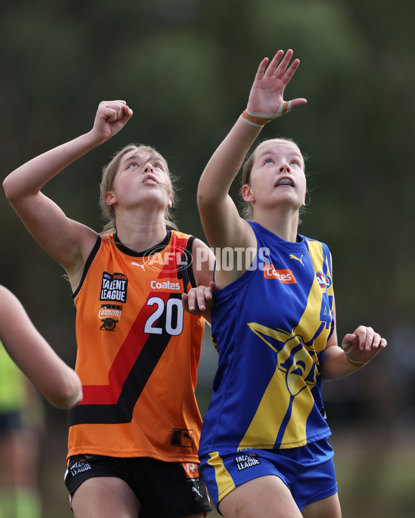 Coates League Girls 2025 Round 01 - Calder Cannons v Northern Knights - A-58429365