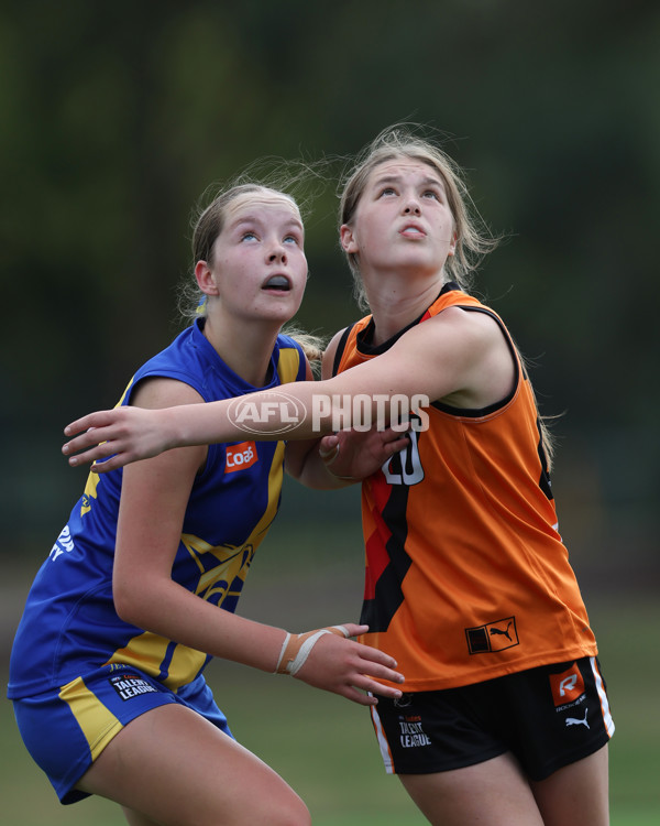 Coates League Girls 2025 Round 01 - Calder Cannons v Northern Knights - A-58429390
