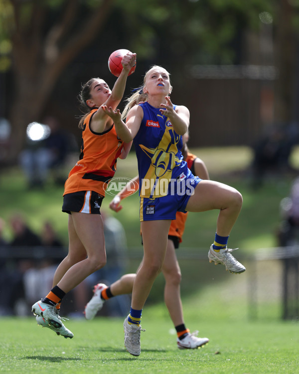 Coates League Girls 2025 Round 01 - Calder Cannons v Northern Knights - A-58429401