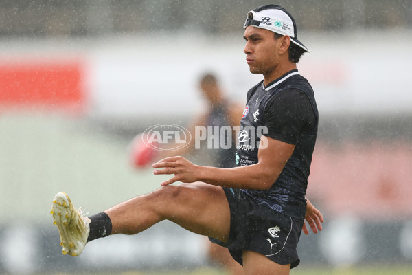 AFL 2025 Training - Carlton 070425 - A-58431819