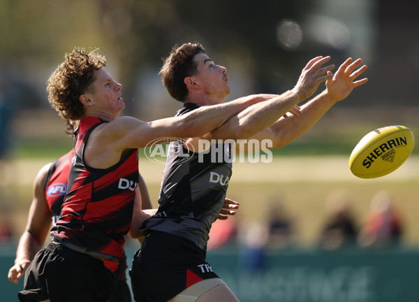 AFL 2025 Training - Essendon 090425 - A-58434861