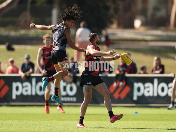 AFL 2025 Training - Essendon 090425 - A-58444640