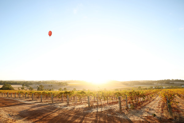 AFL 2025 Media - Barossa Media Opportunity 080425 - A-58484750