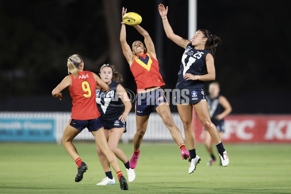 AAMI State Game Women's 2025  - SANFLW v VFLW - A-58512997