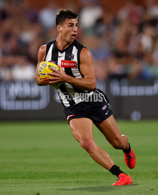 AFL 2025 Round 05 - Collingwood v Sydney - A-58516448