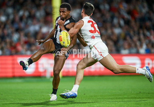 AFL 2025 Round 05 - Collingwood v Sydney - A-58516459