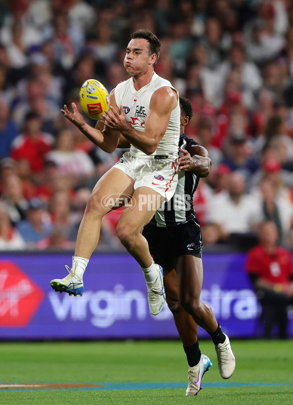 AFL 2025 Round 05 - Collingwood v Sydney - A-58519402