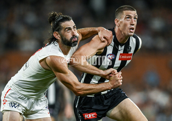AFL 2025 Round 05 - Collingwood v Sydney - A-58519427