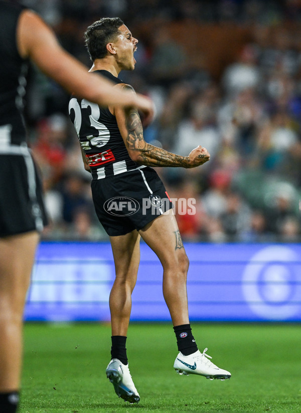 AFL 2025 Round 05 - Collingwood v Sydney - A-58519485