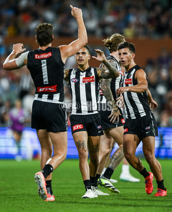 AFL 2025 Round 05 - Collingwood v Sydney - A-58519497