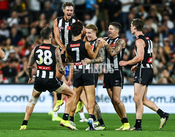 AFL 2025 Round 05 - Collingwood v Sydney - A-58521979