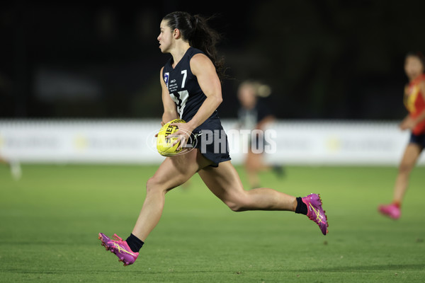 AAMI State Game Women's 2025  - SANFLW v VFLW - A-58522021