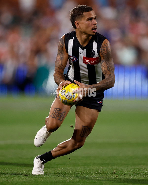 AFL 2025 Round 05 - Collingwood v Sydney - A-58522252