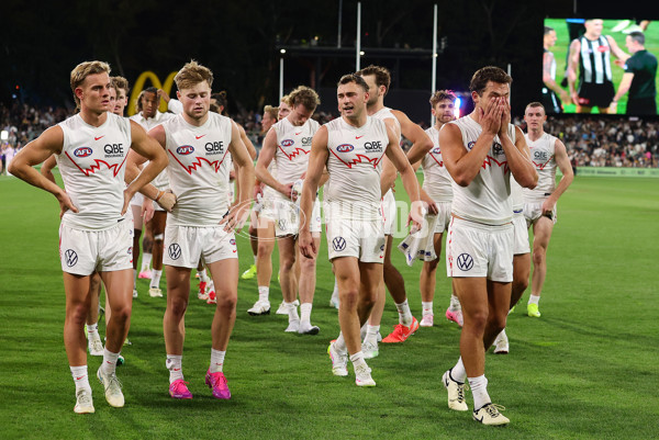 AFL 2025 Round 05 - Collingwood v Sydney - A-58522299