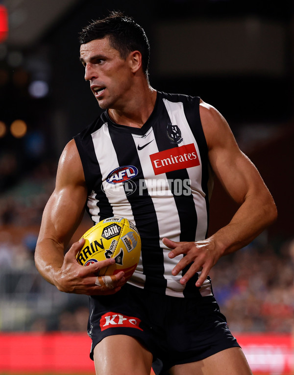 AFL 2025 Round 05 - Collingwood v Sydney - A-58524730