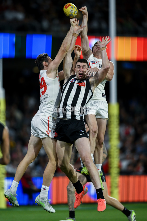 AFL 2025 Round 05 - Collingwood v Sydney - A-58527696