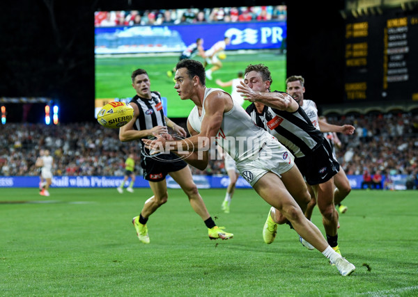 AFL 2025 Round 05 - Collingwood v Sydney - A-58527796