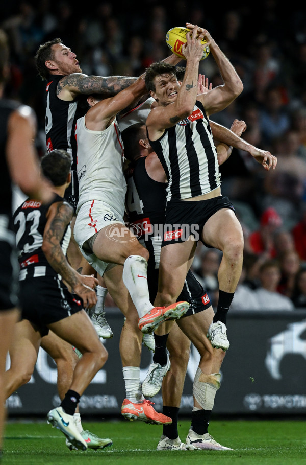 AFL 2025 Round 05 - Collingwood v Sydney - A-58527802