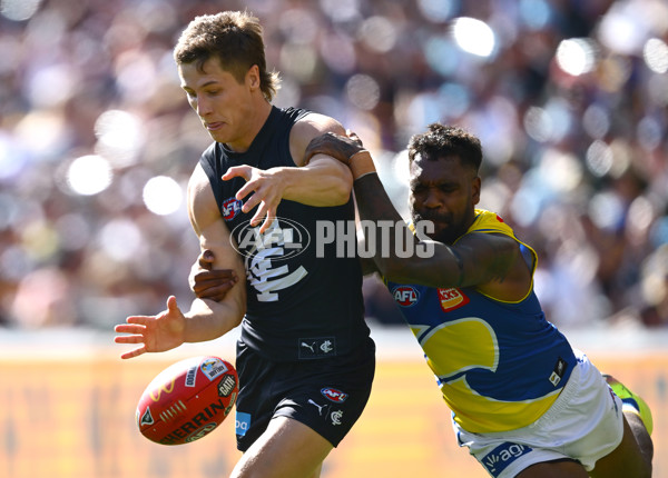 AFL 2025 Round 05 - Carlton v West Coast - A-58536802