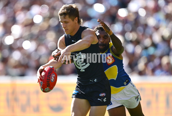 AFL 2025 Round 05 - Carlton v West Coast - A-58537383