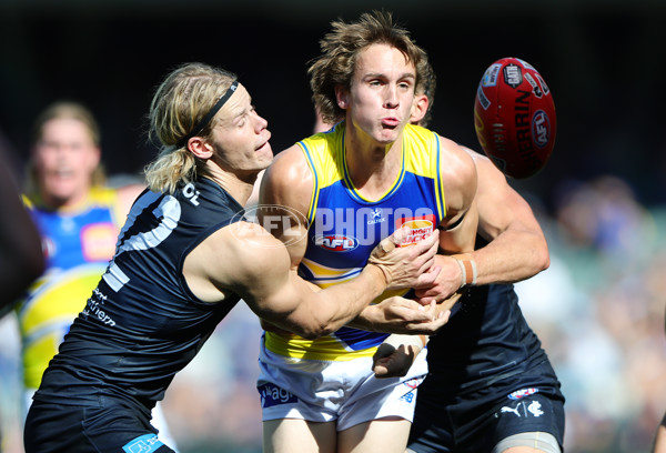 AFL 2025 Round 05 - Carlton v West Coast - A-58537385