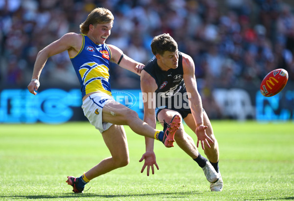 AFL 2025 Round 05 - Carlton v West Coast - A-58537403