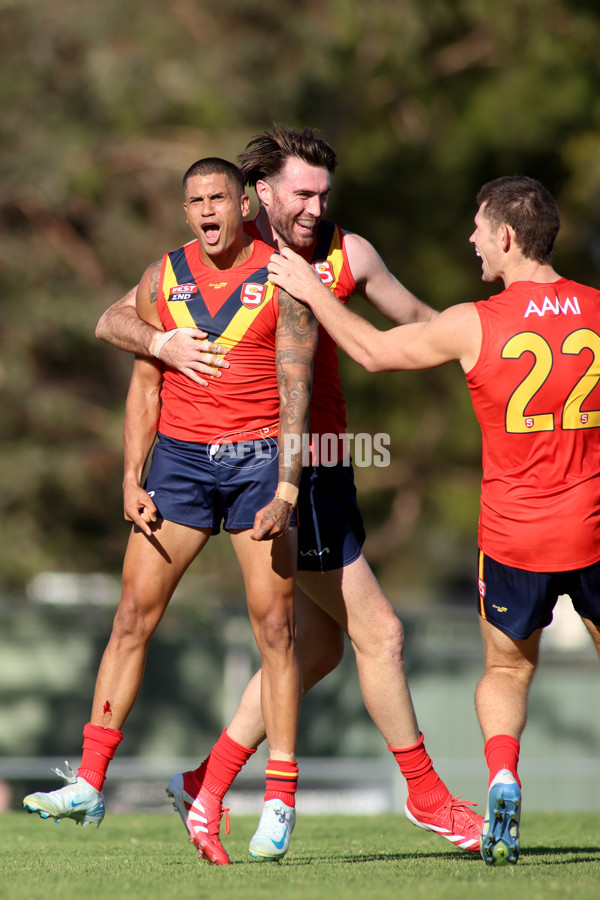 AAMI State Game Men's 2025  - SANFL v VFL - A-58542054