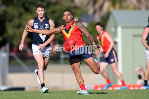 AAMI State Game Men's 2025  - SANFL v VFL - A-58542056