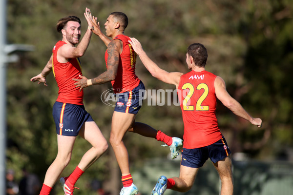 AAMI State Game Men's 2025  - SANFL v VFL - A-58542058