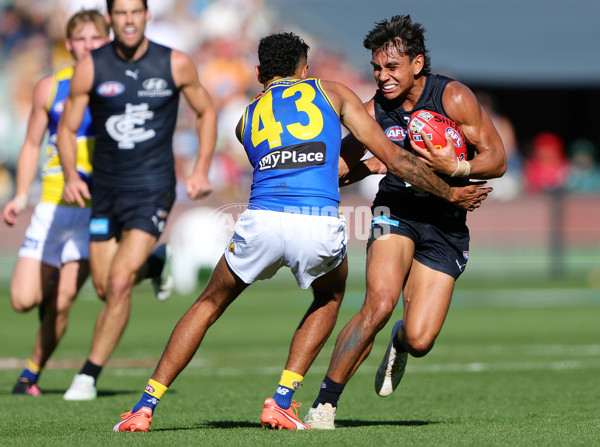 AFL 2025 Round 05 - Carlton v West Coast - A-58542064