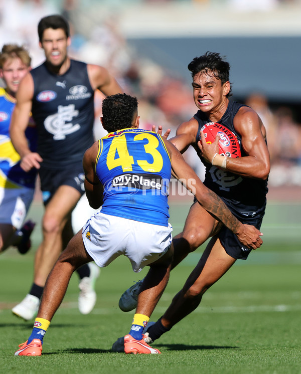 AFL 2025 Round 05 - Carlton v West Coast - A-58542266
