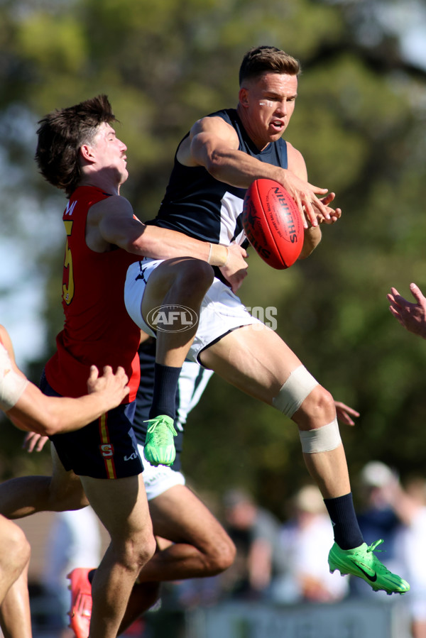AAMI State Game Men's 2025  - SANFL v VFL - A-58544821