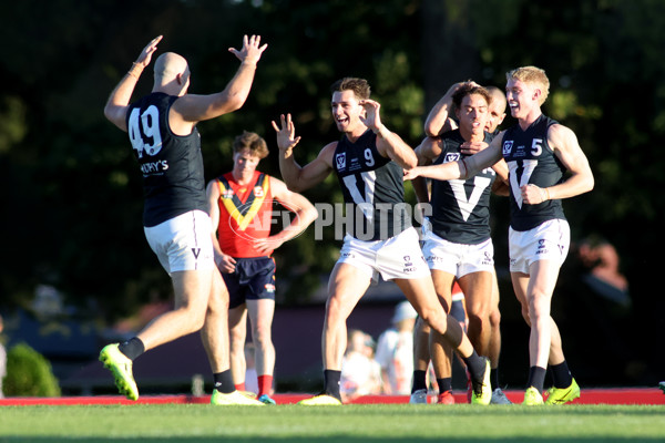 AAMI State Game Men's 2025  - SANFL v VFL - A-58547325