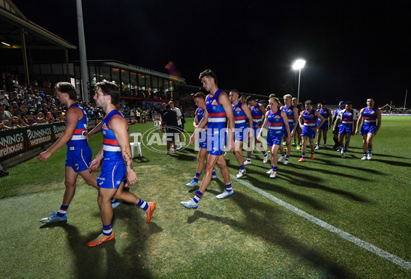 AFL 2025 Round 05 - Western Bulldogs v Brisbane - A-58549913