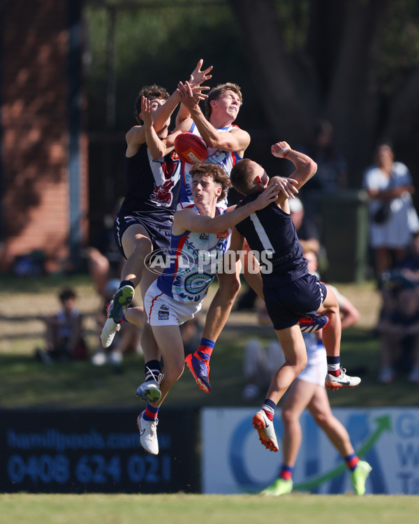 Coates League Boys 2025 Round 03 - Sandringham Dragons v Oakleigh Chargers - A-58549933