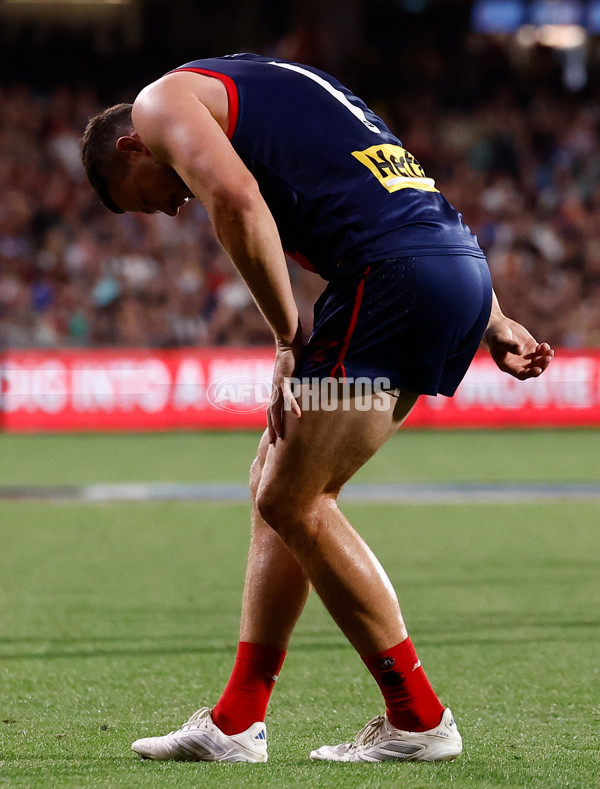 AFL 2025 Round 05 - Melbourne v Essendon - A-58549987