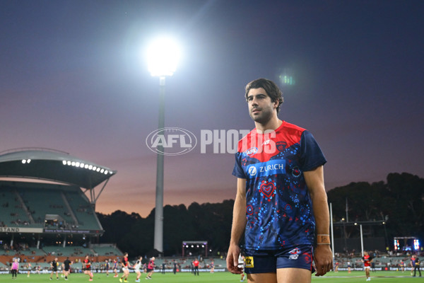 AFL 2025 Round 05 - Melbourne v Essendon - A-58550814