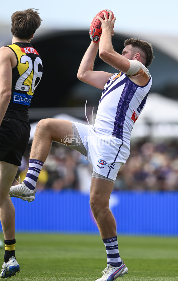 AFL 2025 Round 05 - Richmond v Fremantle - A-58566637