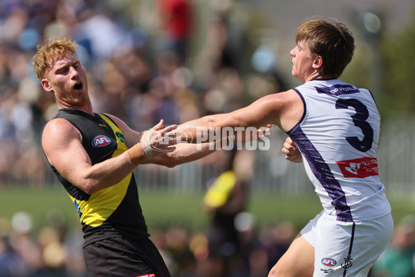 AFL 2025 Round 05 - Richmond v Fremantle - A-58566653