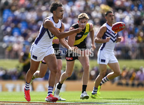 AFL 2025 Round 05 - Richmond v Fremantle - A-58568530