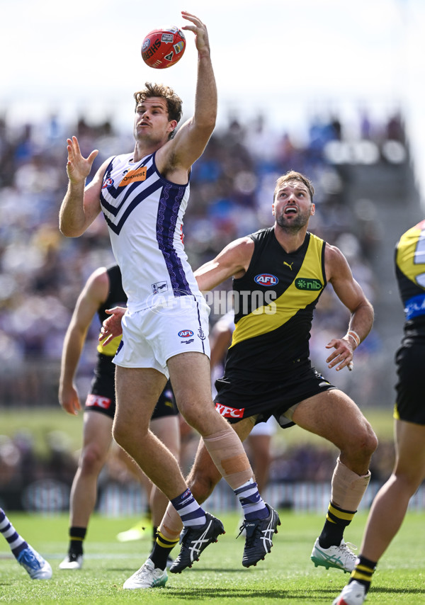 AFL 2025 Round 05 - Richmond v Fremantle - A-58568548