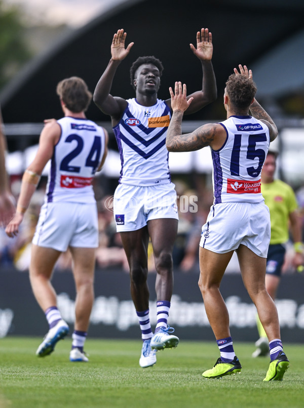 AFL 2025 Round 05 - Richmond v Fremantle - A-58568583